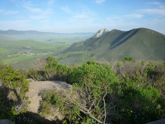 Morro Bay State Park by null