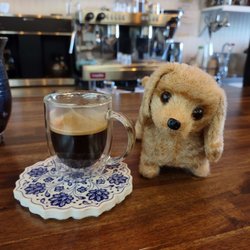 Grounded - Cubano café.