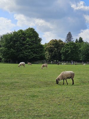 Hameau de la Reine by null