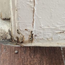 Real Property Management Tampa St Pete - More damage left unattended.