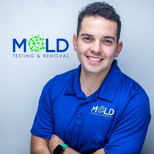 Mold Testing and Removal - mold inspector in Los Angeles, CA