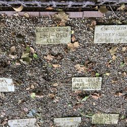 Headley-Whitney Museum - Pet cemetery