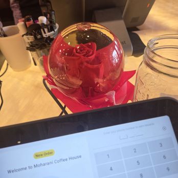 Moharani Coffee House - Coffee & Tea Near Me - Houston, Texas Moharani Coffee House - Coffee & Tea Near Me - Houston, Texas