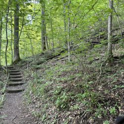 Saunders Springs Nature Preserve