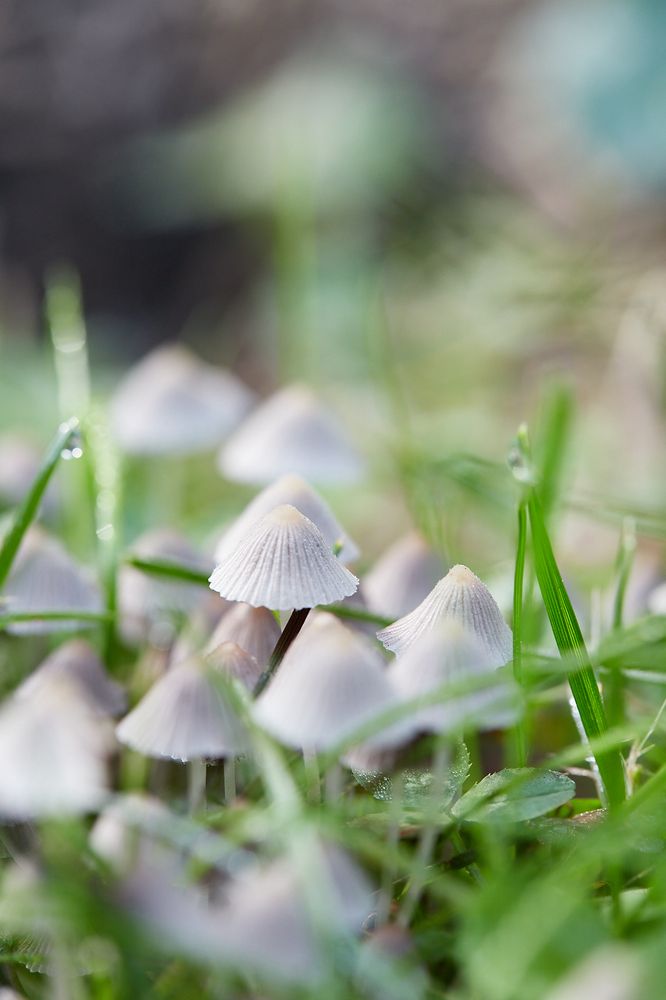 MARIE RASMUSSEN PHOTOGRAPHY - Updated June 2024 - 15 Photos - Lansing ...