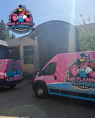 Pink Flamingo Plumbing by null