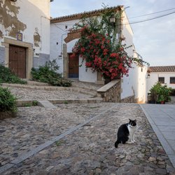 Totally Spain & Portugal - A peaceful cobbled street lined with traditional whitewashed homes, capturing the authentic charm of villages across Spain.