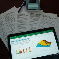 Walia Tax & Live Scan Consultant - Business Formations LLC, C&S Corp, Non Profit Filings