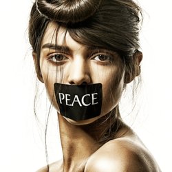 Evolution - Matt Swinney peace