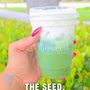 Photo of The Seed
