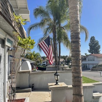 Saul’s Tree Service - Tree Services Near Me Saul’s Tree Service - Tree Services Near Me