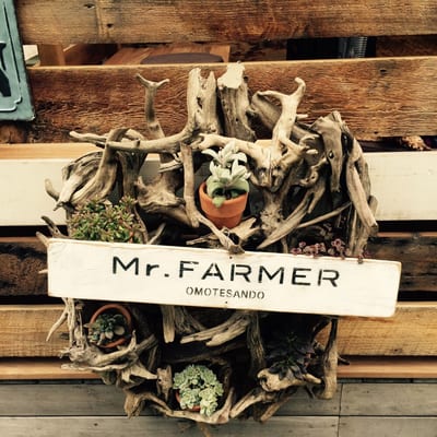 Mr. Farmer by null