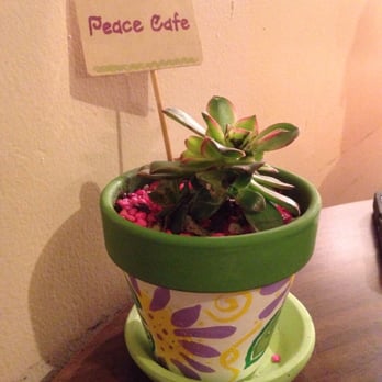 Peace Café - Sweet little flower pot on the table. - Vegan Near Me - Honolulu, Hawaii Peace Café - Sweet little flower pot on the table. - Vegan Near Me - Honolulu, Hawaii
