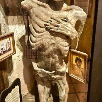 Museum of the Weird - Mummy - Museums Near Me - Austin, Texas Museum of the Weird - Mummy - Museums Near Me - Austin, Texas