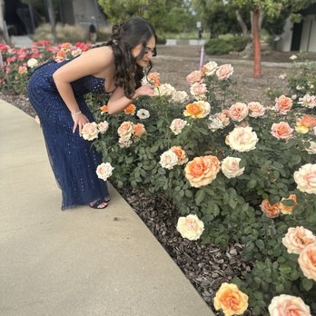 Kellogg Rose Garden - Prom 2025 - Community Gardens Near Me - Pomona, California Kellogg Rose Garden - Prom 2025 - Community Gardens Near Me - Pomona, California