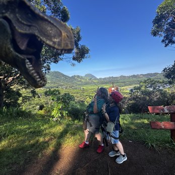 Koloa Zipline - Don't worry it's not real.. lol - Ziplining Near Me - Koloa, Hawaii Koloa Zipline - Don't worry it's not real.. lol - Ziplining Near Me - Koloa, Hawaii