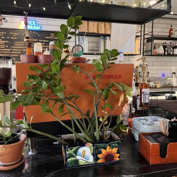 Cafecito - Coffee & Tea Near Me - Phoenix, Arizona Cafecito - Coffee & Tea Near Me - Phoenix, Arizona