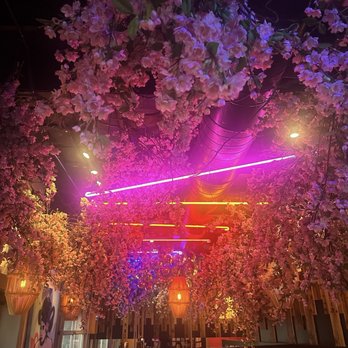 Lucky Robot Restaurant - Sushi Bars Near Me - Austin, Texas Lucky Robot Restaurant - Sushi Bars Near Me - Austin, Texas