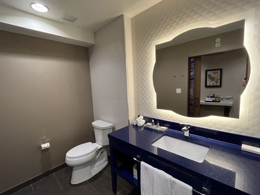 Hotel Indigo Naperville Riverwalk, an IHG Hotel by null