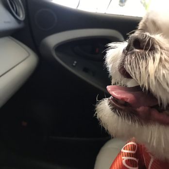 PetSmart - Pet Groomers Near Me - Charlotte, North Carolina PetSmart - Pet Groomers Near Me - Charlotte, North Carolina