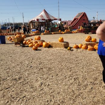 Seasonal Adventures Pumpkin Patch & Trees - Amusement Parks Near Me - Henderson, Nevada Seasonal Adventures Pumpkin Patch & Trees - Amusement Parks Near Me - Henderson, Nevada