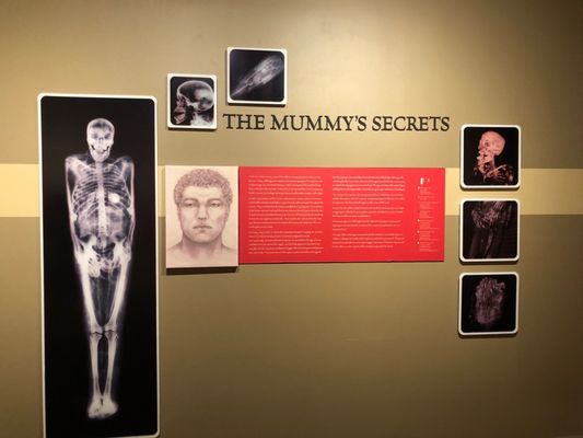 Louisiana Art & Science Museum by null