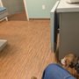 Photo of South Hingham Veterinary Services