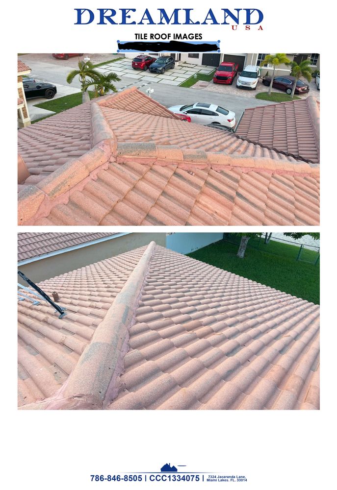 Slide of Dreamland USA