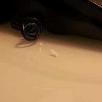Hyatt Regency Indianapolis - Nail clippings: not mine...purple this week. - Hotels Near Me - Indianapolis, Indiana