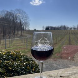 Woodmill Winery - Blueberry wine