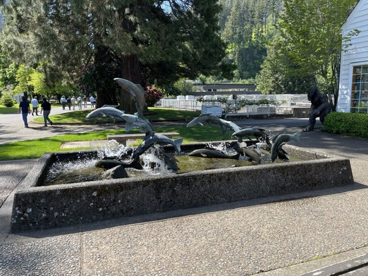 Bonneville Fish Hatchery by null