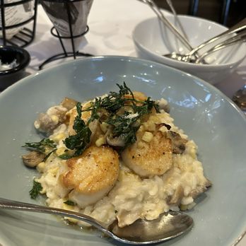 RÊVE - Risotto and Scallops - French Near Me - Lafayette, California RÊVE - Risotto and Scallops - French Near Me - Lafayette, California