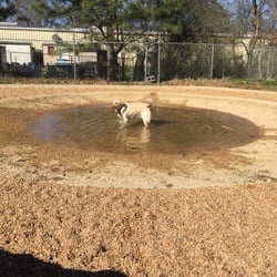 Bree's Bark Park