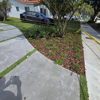 Green Simple Landscape - Landscaping Near Me Green Simple Landscape - Landscaping Near Me