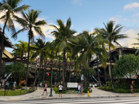 Royal Hawaiian Center by null
