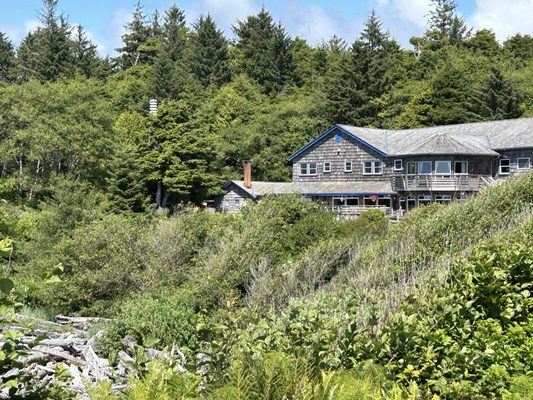 Kalaloch Campground by null