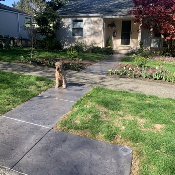 Lara Concrete - Medium grey, stamped walkway with horseshoes - Masonry/Concrete Near Me Lara Concrete - Medium grey, stamped walkway with horseshoes - Masonry/Concrete Near Me
