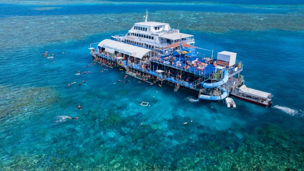 Sunlover Reef Cruises by null