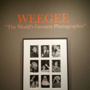 HOWARD GREENBERG GALLERY - Updated March 2026 - 41 E 57th St, New