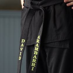 Evolutionary Martial Arts