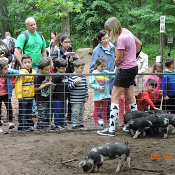 Green Meadows Farm - Petting Zoos Near Me - Hazlet, New Jersey