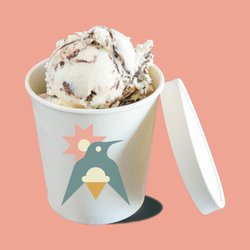 Pint of ice cream