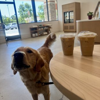 Bird Dog Coffee - Coffee & Tea Near Me - Laguna Hills, California