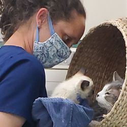 Hart Road Animal Hospital