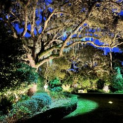 Lucarelli Outdoor Lighting