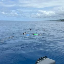 Shark area off a deep ledge