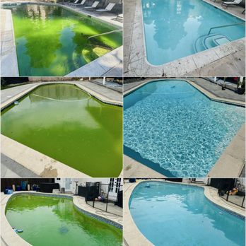 Pearce Pools - Green pool clean-ups - Pool Cleaners Near Me
