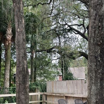 Provisions Coffee & Kitchen - This outdoor space will rock in cooler weather - Coffee & Tea Near Me - Tampa, Florida Provisions Coffee & Kitchen - This outdoor space will rock in cooler weather - Coffee & Tea Near Me - Tampa, Florida