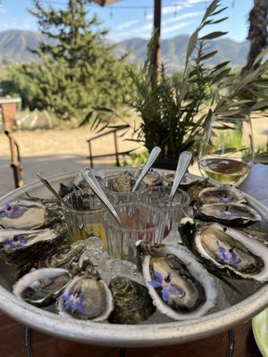 Conchas de Piedra by null Conchas de Piedra by null