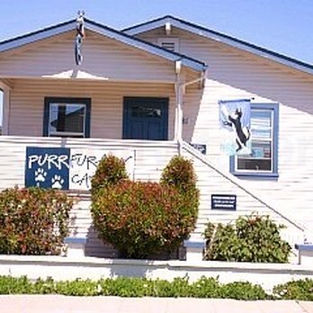 Purrfurably Cats - Purrfurably Cats Clinic - Veterinarians Near Me - Monterey, California Purrfurably Cats - Purrfurably Cats Clinic - Veterinarians Near Me - Monterey, California